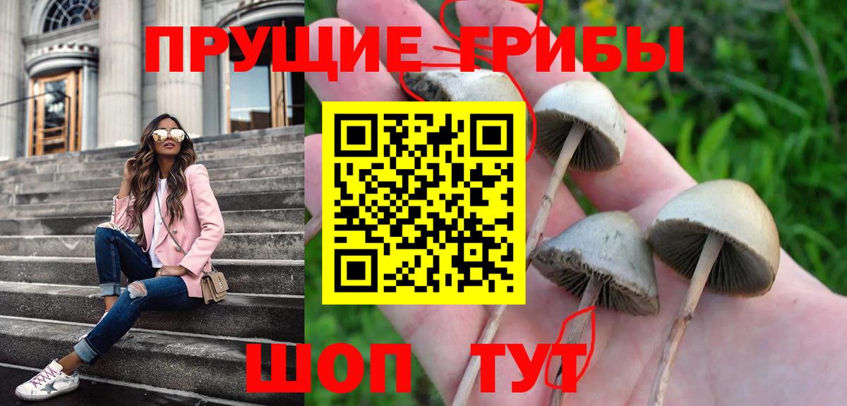 Галлюциногенные грибы Psilocybe Аша