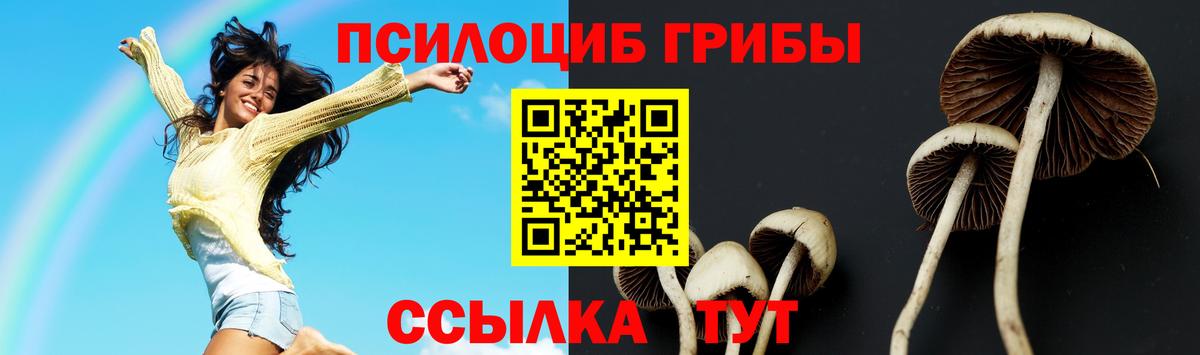 Аша  Псилоцибиновые грибы Cubensis  Вход с VPN 